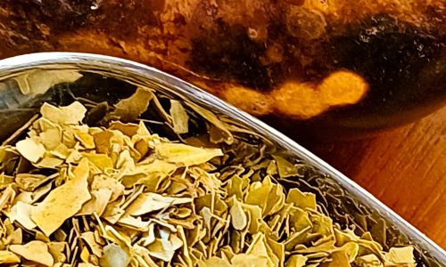 Naturkalebasse von unter mit Mate und Bombilla - Foto: A. Hühn